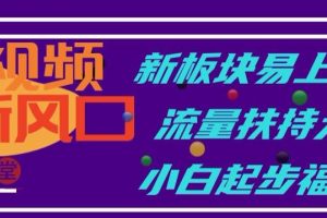 中视频新风口,新板块易上手,流量扶持大,小白起步福音【揭秘】