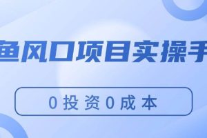 （11923期）闲鱼风口项目实操手册，0投资0成本，让你做到，月入过万，新手可做
