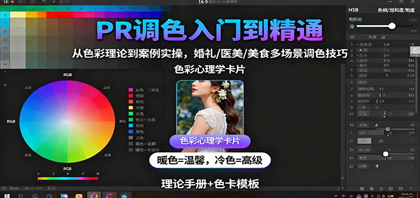 PR调色入门到精通：从色彩理论到案例实操，婚礼/医美/美食多场景调色技巧插图