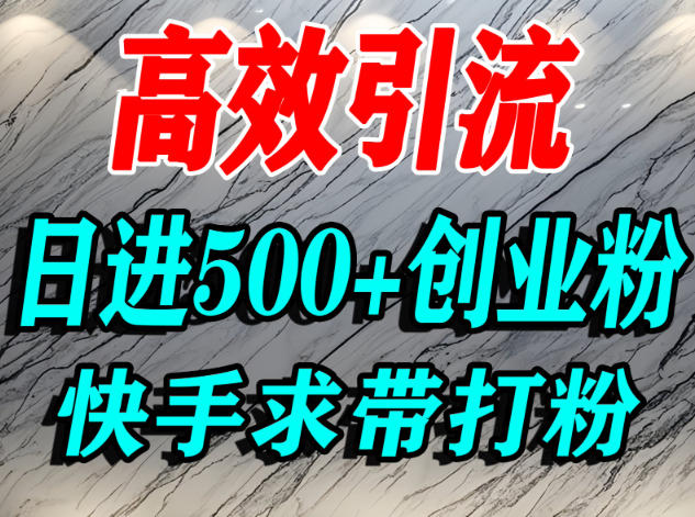 怎么打创业粉？快手求带视角精准引流创业粉，宝妈、学生群体日进500+精准流量插图