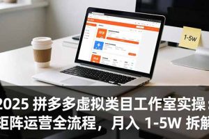 （16748期）2025 拼多多虚拟类目工作室实操：矩阵运营全流程，月入 1-5W 拆解