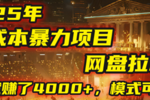 2025年，一个0成本的暴力项目，靠网盘拉新，有人一天就赚了4000+，模式可复制！