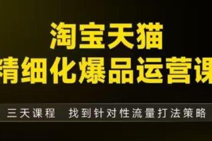 淘宝天猫精细化爆品运营(9月12-14杭州线下课),全方位拆解爆品打造逻辑【音频+字幕+文档】