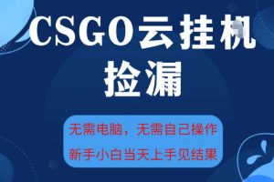 CSGO云挂G全自动捡漏,最新独家玩法,无需电脑操作,新手小白日入5张+【揭秘】