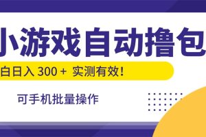 小游戏自动撸包,手机批量操作,小白日入300 +