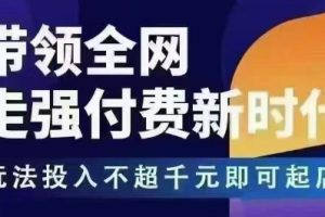 王校长拼多多无限活动流,带领全网走强付费新时代,玩法投入不超千元即可起店