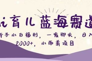 Ai育儿蓝海赛道，新手小白福利，一发即火，日入2000+，小而美项目