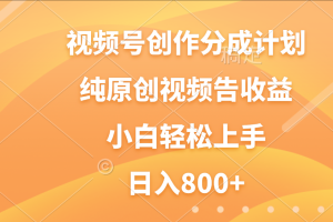 视频号创作分成计划，纯原创视频告收益，新手小白轻松上手，日入800+