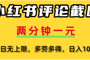 小红书评论区评论截图，一分钟2条，可日入几千，多劳多得