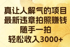 真让人解气的项目，最新违章拍照赚钱，随手一拍，轻松收入3000+