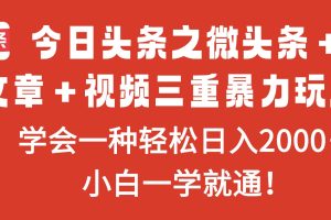 (16556期)今日头条之微头条+文章+视频三重暴力玩法,学会一种轻松日入2000+,…