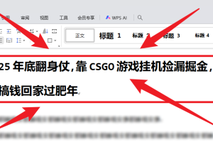 （16533期）25年底翻身仗，靠CSGO游戏挂机捡漏掘金，搞钱回家过肥年