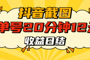 抖音截图上传 单号20分钟收益12元 不风控 批量无限做 收益日结