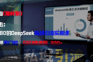 全网首发（限时删）精准打击：价值3980的DeepSeek私域引流实操课，小白实操无门槛，日引精准粉300+