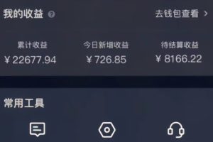 （16446期）抖音手游野路子玩法，一单25，单视频收益4000+，日入几千轻轻松松，一…