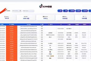 (16440期)2025风口项目,稳定收入,可保障,小白可入