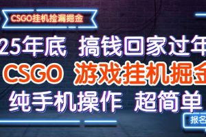 25年底搞钱回家过年，CSGO游戏挂机掘金，纯手机操作超简单