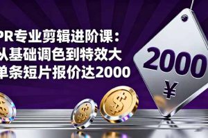 （16381期）PR专业剪辑进阶课：从基础调色到特效大片的进阶技能，单条短片报价达2000