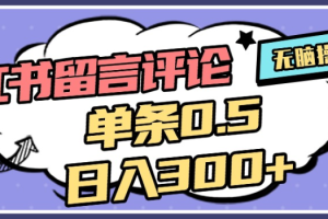 2025年最新小红书评论单条0.5元，日入300＋，无上限，详细操作流程