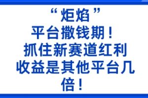 “炬焰”:平台撒钱期!抓住新赛道红利,5分钟二创内容,收益是其他平台几倍!