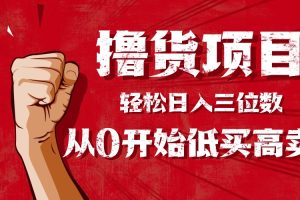 （16315期）手把手教你撸货，从0开始低买高卖，小白轻松实现日入三位数!!!