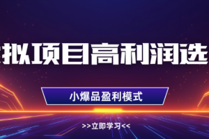 淘宝虚拟店铺高利润玩法，高客单选品技巧，单店月入1W+