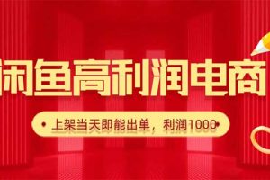 （16286期）闲鱼卖爆款货源，每天利润1000，上架即出单