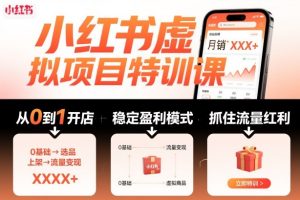 小红书虚拟项目特训课,帮你从0到1打造稳定盈利的店铺,抓住流量红利(更新9月)