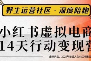 小红书虚拟电商14天变现训练营3.0,虚拟产品,2025年普通人在小红书最后的搞钱机会