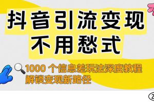 抖音引流变现不用愁！1000 个信息差玩法深度教程，解锁变现新路径