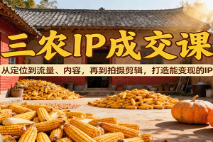 三农IP成交课:从定位到流量、内容,再到拍摄剪辑,打造能变现的IP