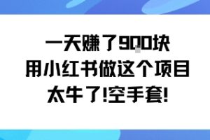 一天挣了9张用小红书做这个项目太牛了，空手套