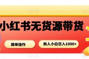 小红书无货源带货项目,简单无脑,新人小白日入多张