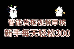 《智能货柜视频审核，几秒一单，多劳多得，新人小白一天轻松 300+，零门槛》