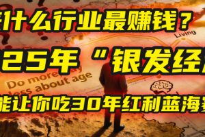 未来什么行业最赚钱？马哥揭秘2025年“银发经济”：一个能让你吃30年红利的蓝海赛道！