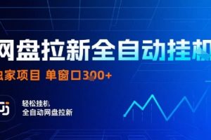 网盘拉新全自动挂G,独家技术,操作简单,自动完成拉新任务,单窗口3张【揭秘】