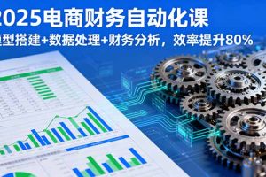 (16021期)2025电商财务自动化课,模型搭建+数据处理+财务分析,效率提升80%