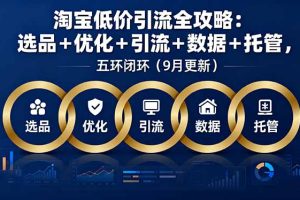 (16009期)淘宝低价引流全攻略:选品+优化+引流+数据+托管,五环闭环(9月更新)