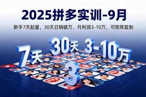 (16008期)2025拼多多实训-9月:新手7天起量,30天日销破万,月利润3-10万,可矩阵复制