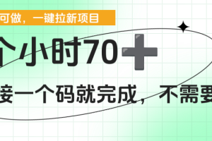 一个小时70+，一键拉新项目，接一个码就完成，不需要回传