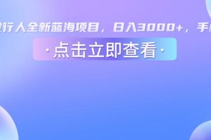 抖音发行人，全新蓝海项目，日入3000+，手机操作