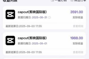 (15984期)2025AI拉新风口项目,0粉0基础月入30000+新手小白轻松学会