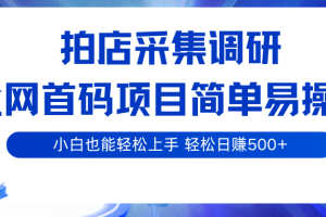 拍店采集调研,全网首码项目,简单易操作, 小白也能轻松上手,轻松日赚500+