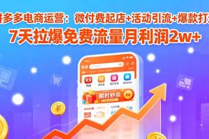 (15960期)拼多多电商运营:微付费起店+活动引流+爆款打造 7天拉爆免费流量月利润2w+