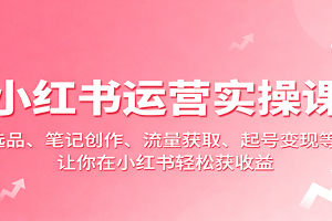 小红书运营实操课:选品、笔记创作、流量获取、起号变现等,让你在小红书轻松获收益