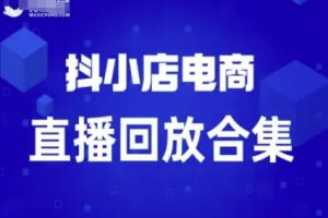短视频电商:抖小店变现从0到盈利过直播回放