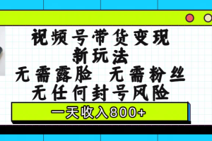 视频号带货变现新玩法，无需露脸，无需粉丝，无任何封号风险，一天收入800+