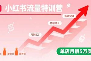 (15936期)小红书流量特训营:突破流量瓶颈,实现店铺持续增长,单店月销5万实战