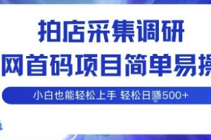 拍店采集调研,全网首码项目,简单易操作, 小白也能轻松上手,多账号操作,轻松日入5张【揭秘】