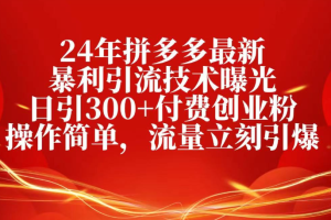 25年拼多多最新暴利引流技术曝光、日引300+付费创业粉操作简单，流量立刻引爆